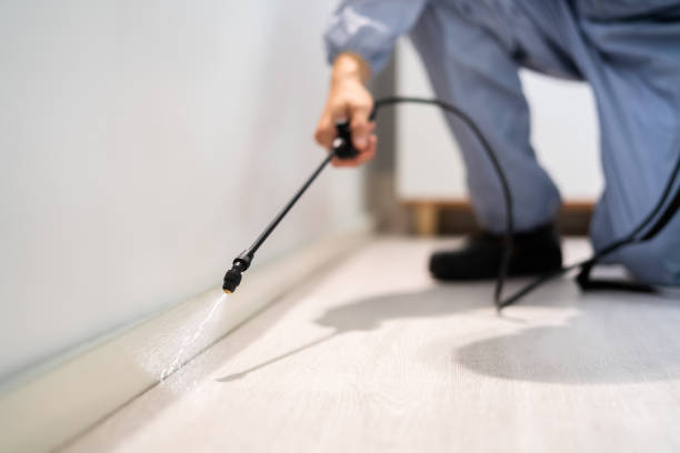 Licensed Pest Control service in Itasca, TX - Show Me Pest Control